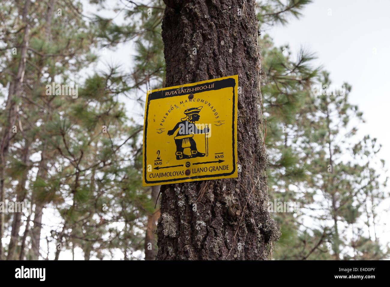 Marcatore per l'Rout 5 trail in Pueblos Mancomunados - Ixtlán distretto, Sierra Norte, Oaxaca, Messico Foto Stock