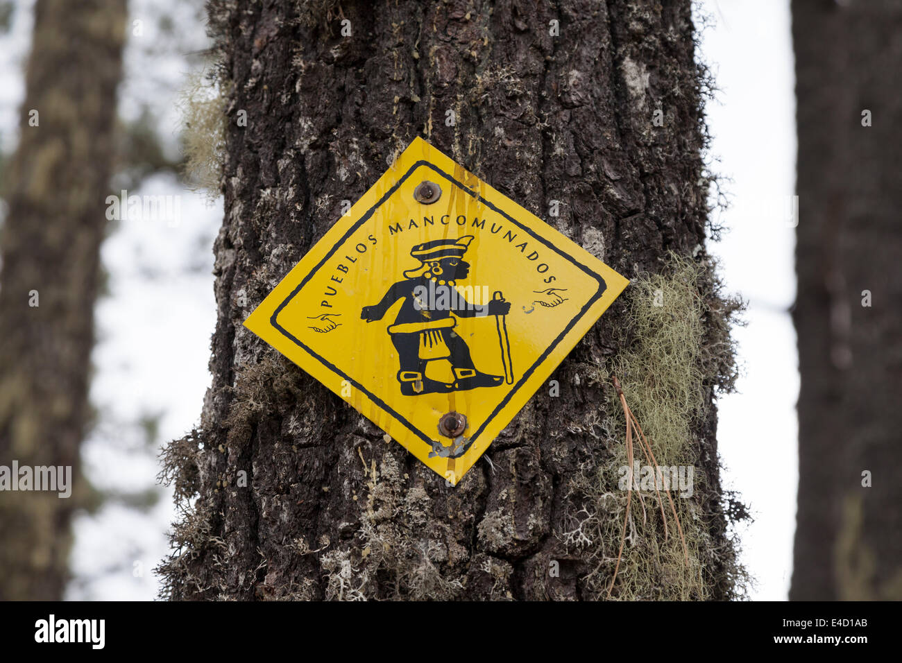 Marcatore per l'Rout 5 trail in Pueblos Mancomunados - Ixtlán distretto, Sierra Norte, Oaxaca, Messico Foto Stock