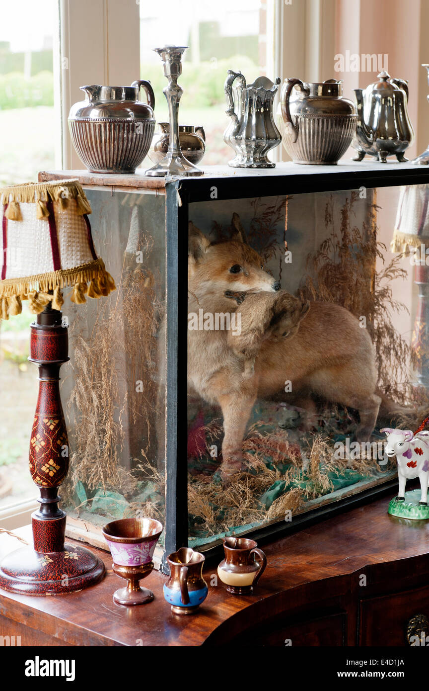 Farcite fox e coniglio in caso di vetro con Argento Boccali sulla parte superiore Foto Stock