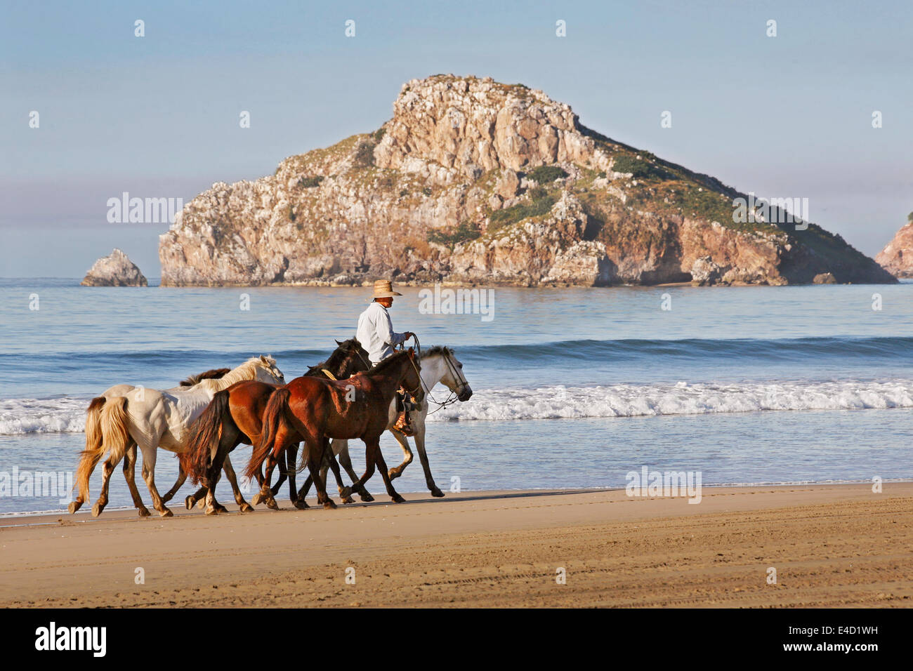 L'uomo passeggiate a cavallo sulla spiaggia di Isola di pietra nei pressi di Mazatlan, Sinaloa, Messico. Foto Stock