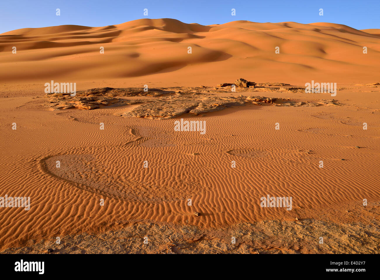 Le dune di sabbia e rocce di arenaria a Oued In Djerane, Tadrart, del Tassili n'Ajjer National Park, Patrimonio Mondiale dell Unesco Foto Stock