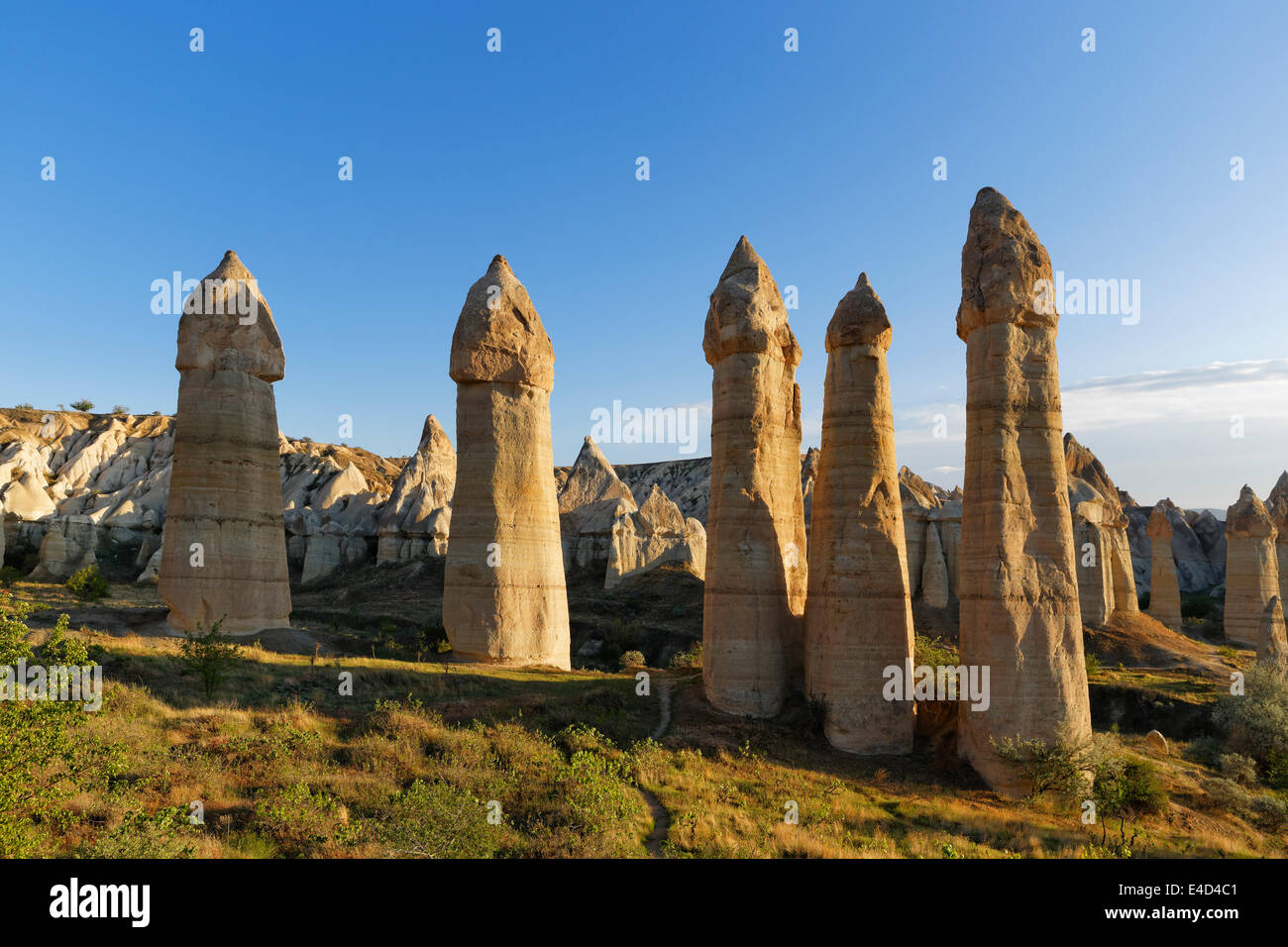 Camini di Fata, fallo a forma di formazioni di tufo, Love Valley, Goreme National Park, Cappadocia, Nevsehir Provincia Foto Stock