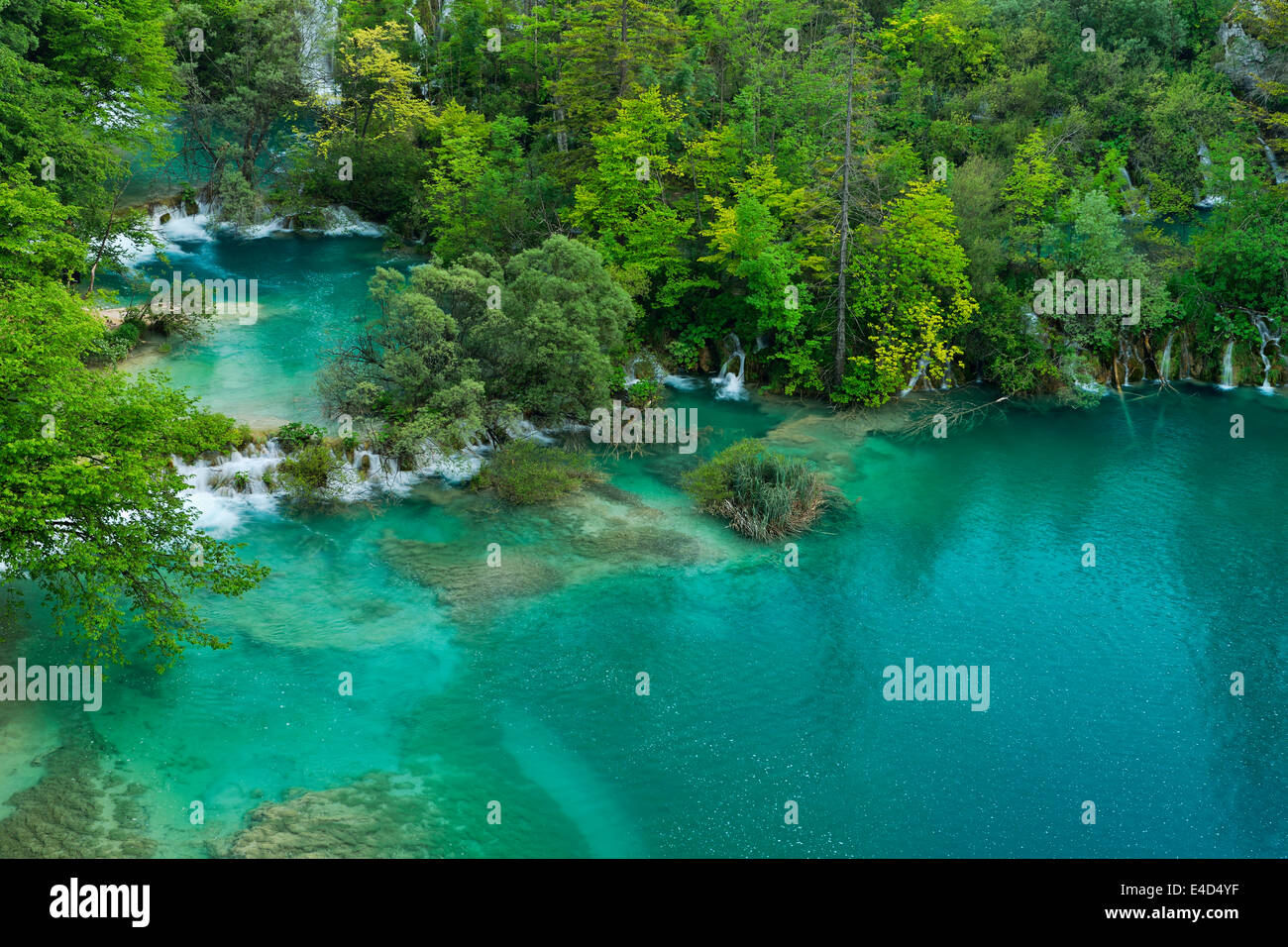 Laghi inferiori con piccole cascate, Parco Nazionale dei Laghi di Plitvice, Jezera, Lika-Senj Affitto, Croazia Foto Stock
