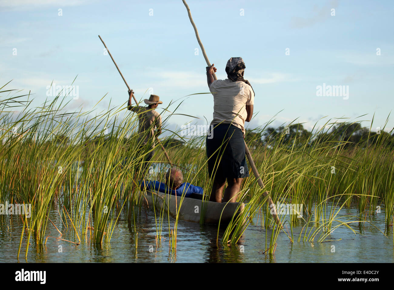 Bootsführer mit typischer picchetto oder Stange und Touristen auf einem traditionellem Mokoro Boot im Okavango Delta, Botswana, Afri Foto Stock