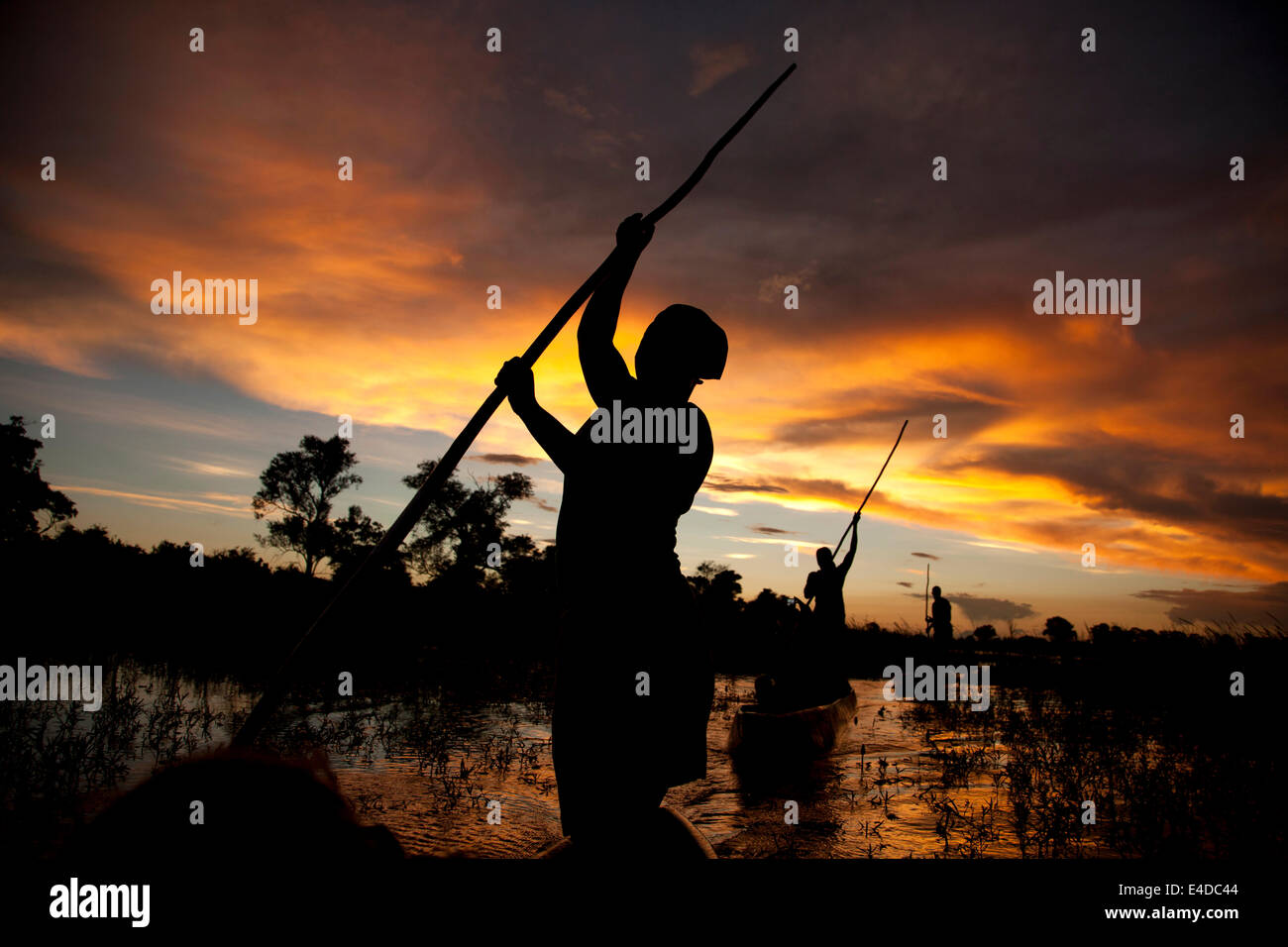 Poler su una tradizionale barca mokoro in Okavango Delta al tramonto, Botswana, Africa Foto Stock