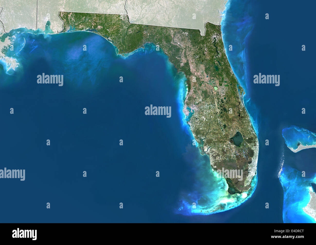Stato della Florida, Stati Uniti, True Color satellitare immagine Foto Stock