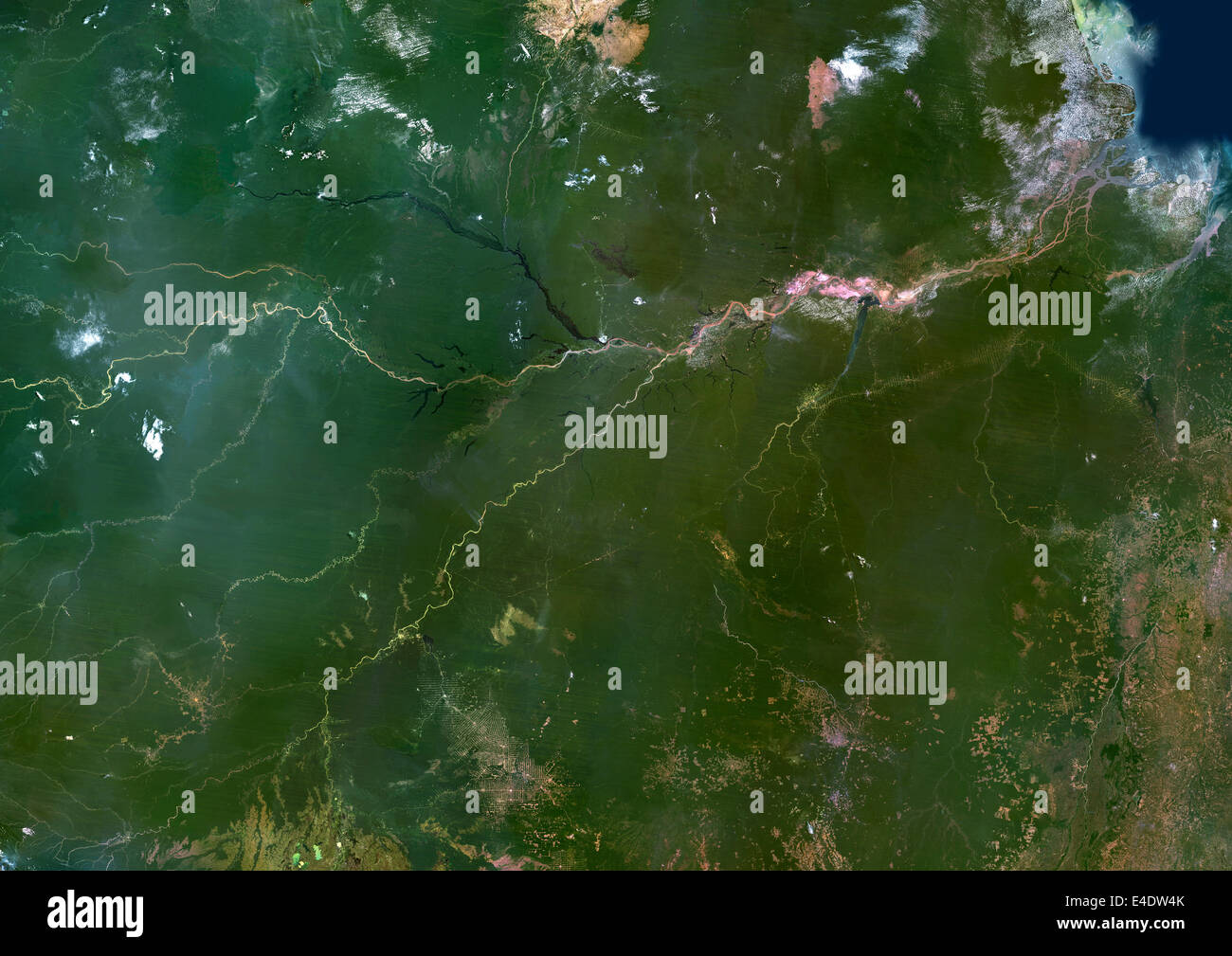 Fiume del Amazon, Brasile, True Color satellitare immagine. Il fiume Amazon,  uno del fiume più lungo del mondo con numerosi tornanti un Foto stock -  Alamy