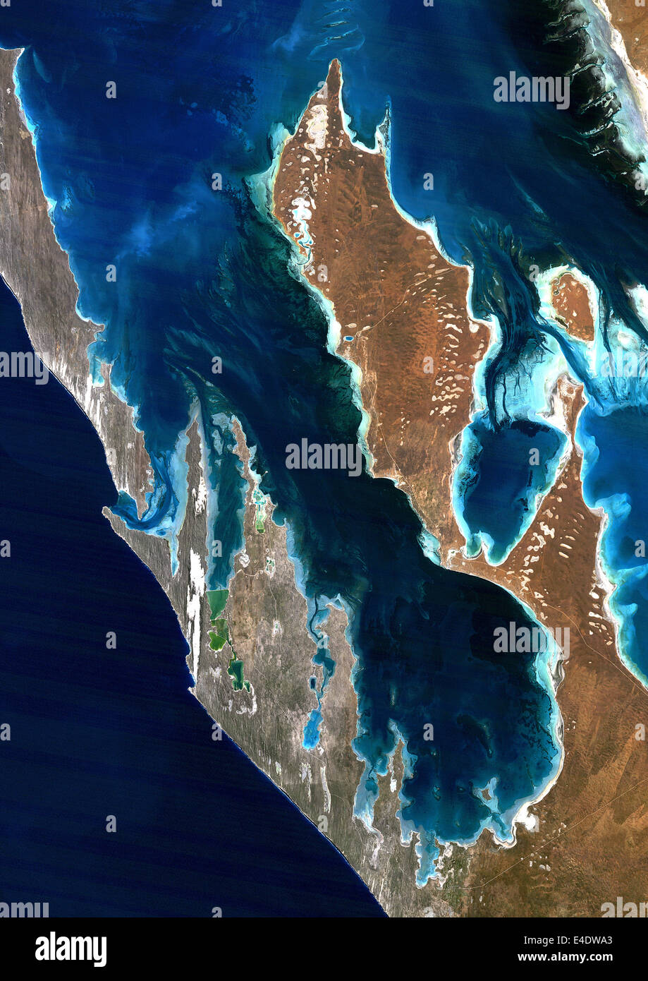 Shark Bay, Australia, True Color satellitare immagine. Shark Bay, Australia, true color satellitare immagine. Shark Bay è sul Foto Stock
