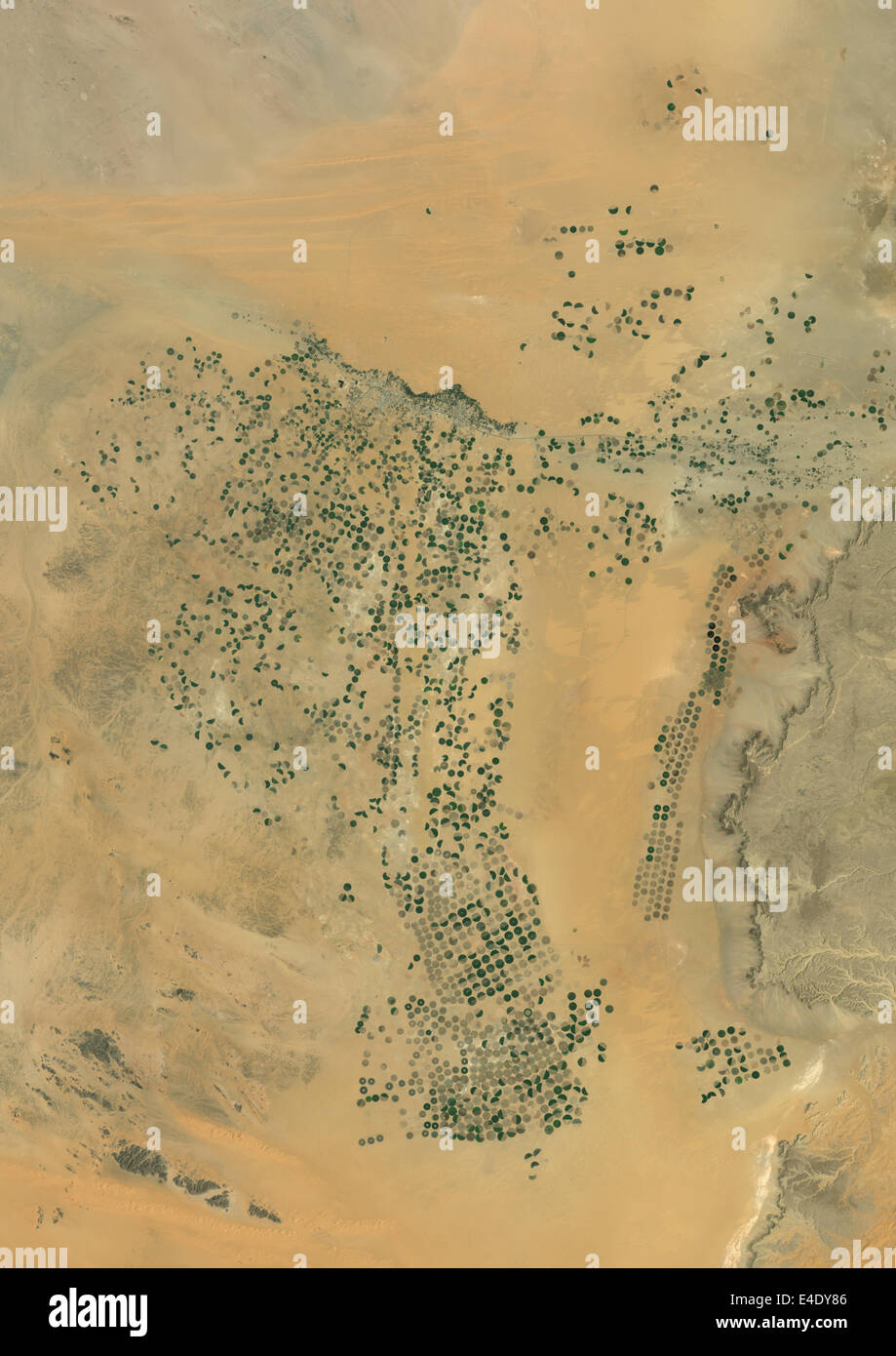 Agricoltura Nel deserto, la parte meridionale della provincia di Riyadh, Arabia Saudita, True Color immagine satellitare. True color satellitare mi Foto Stock