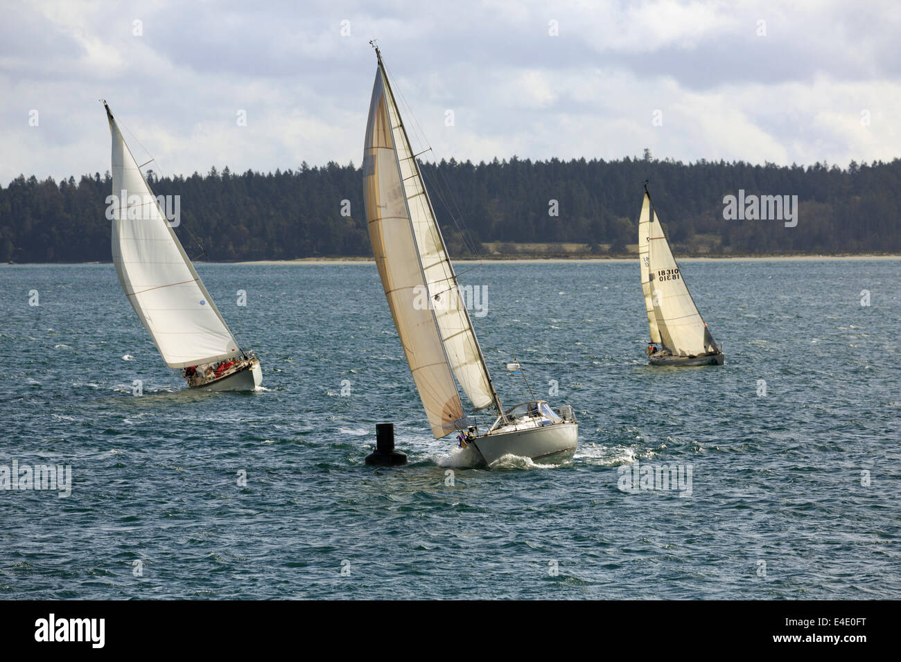 Uno yacht a vela round una boa in un vicino regata vicino a Sidney, isola di Vancouver Foto Stock