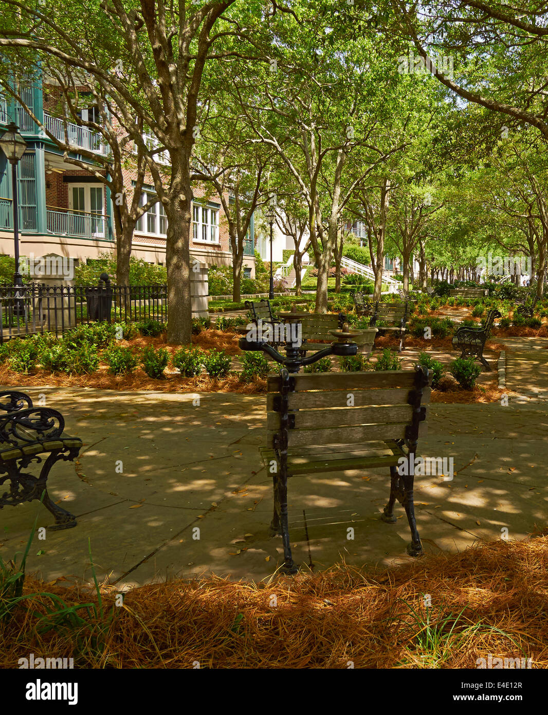 Il Waterfront Park, Charleston, Carolina del Sud. Viale alberato piazze con panchine sono ombreggiate da querce Vivi e cattura la brezza del mare Foto Stock