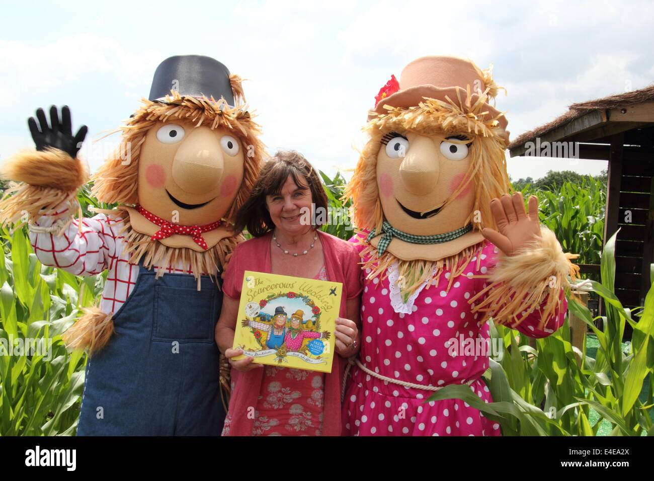 Burton-on-Trent, Staffordshire, Regno Unito. 9 Luglio, 2014. Julia Donaldson con Harry O'fieno e Betty O'orzo. La Foresta Nazionale di fattoria avventura lancia la sua undicesima edizione 10 acri del labirinto di mais che quest'anno celebra la pubblicazione del Scarecrows' libro Nozze dai creatori di The Gruffalo & Stick Man. Progettato in forma di Scarecrows' caratteri di nozze Betty O'orzo e Harry O'fieno, il labirinto dispone di tre miglia di sentieri, ponti e torri di visualizzazione. Credito: Deborah Vernon/Alamy Live News Foto Stock