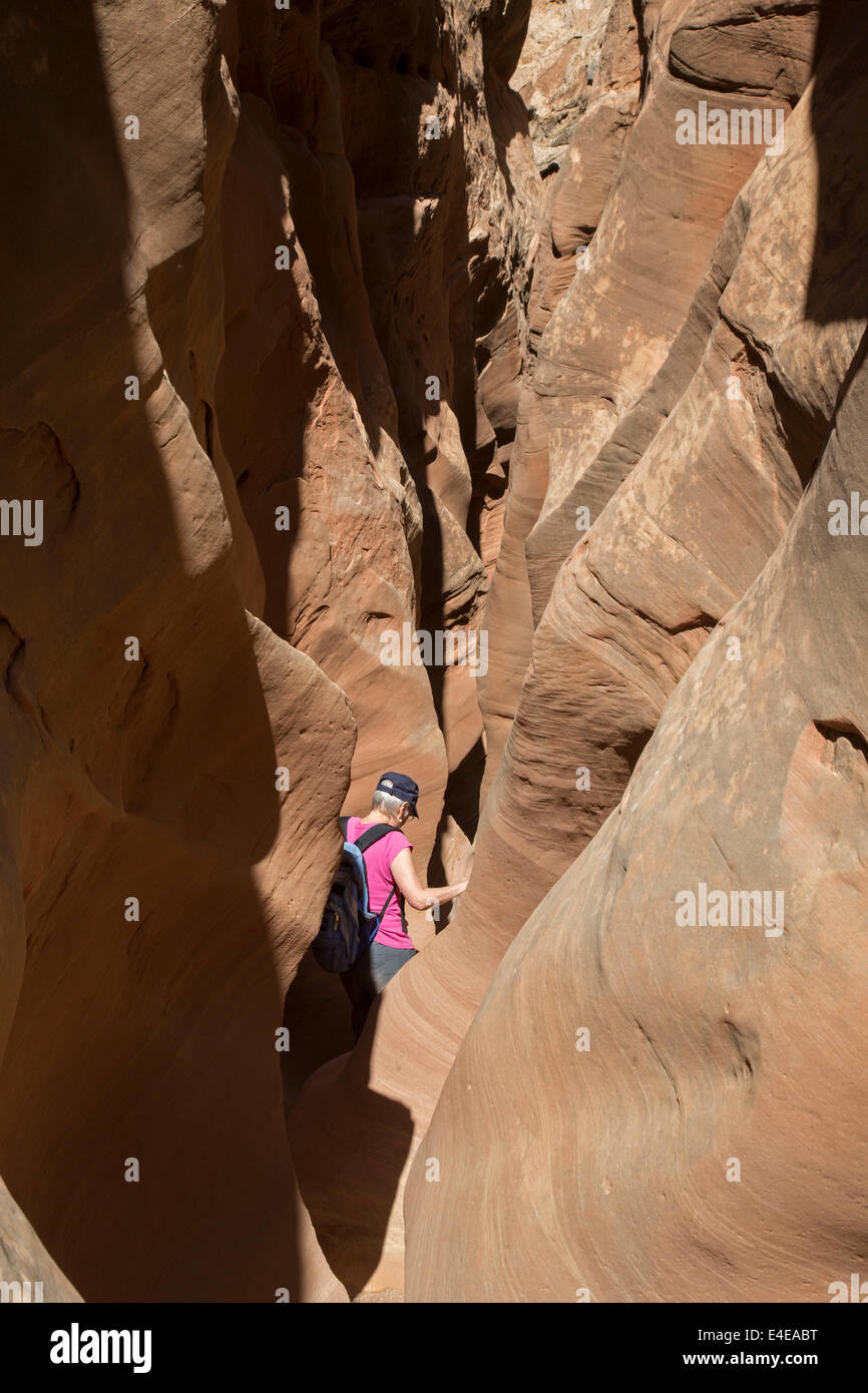 Hanksville, Utah - Susan Newell, 65, escursioni in poco cavallo selvaggio canyon. Foto Stock