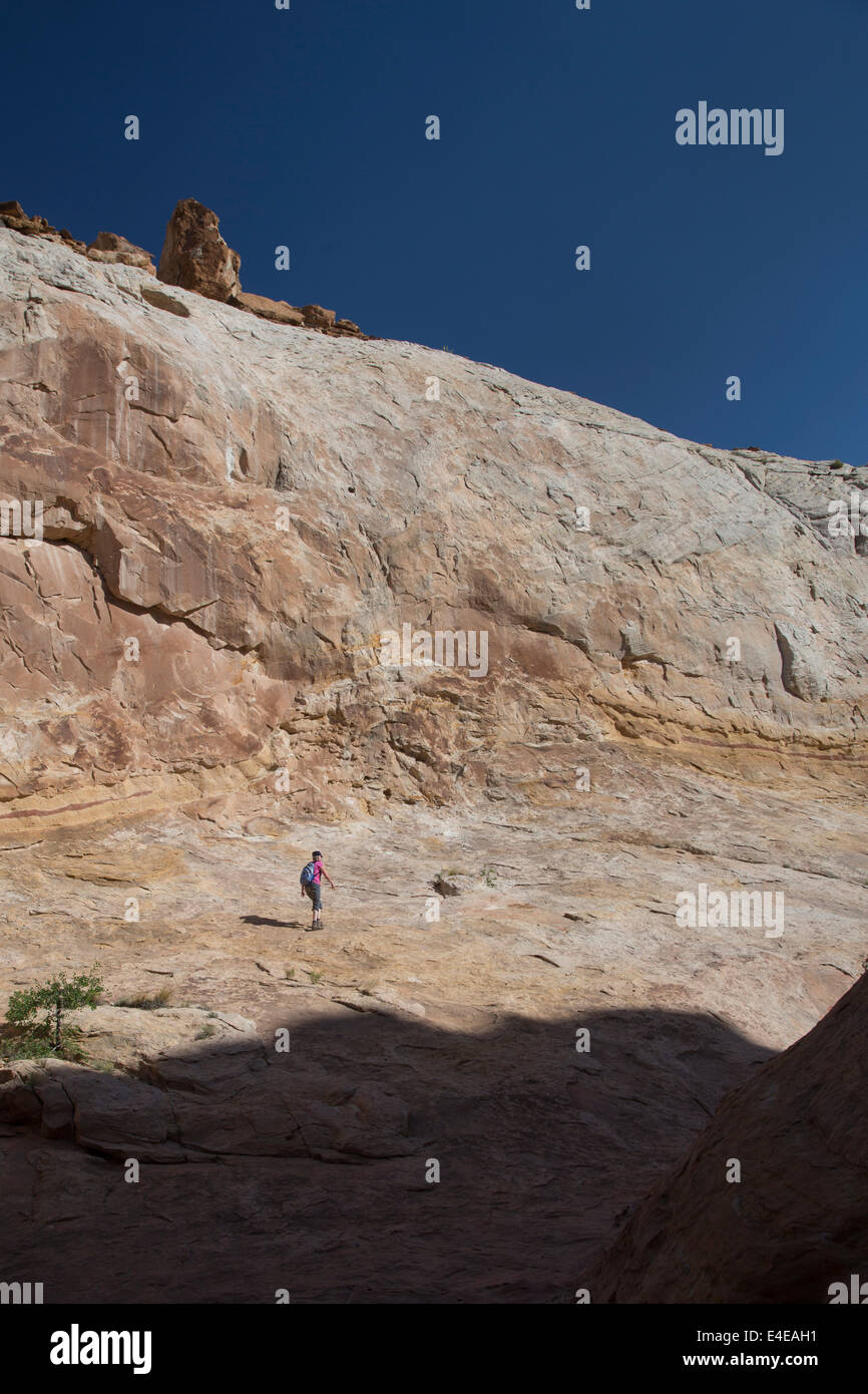 Hanksville, Utah - Susan Newell, 65, escursioni in poco cavallo selvaggio canyon. Foto Stock
