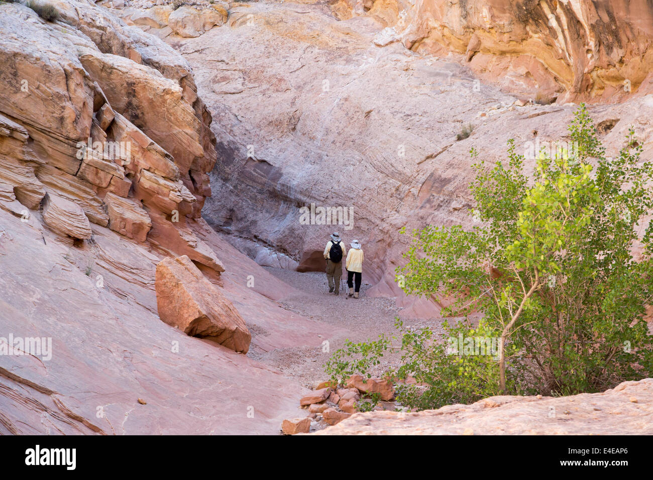 Hanksville, Utah - Una coppia in pensione escursione in poco cavallo selvaggio canyon. Foto Stock