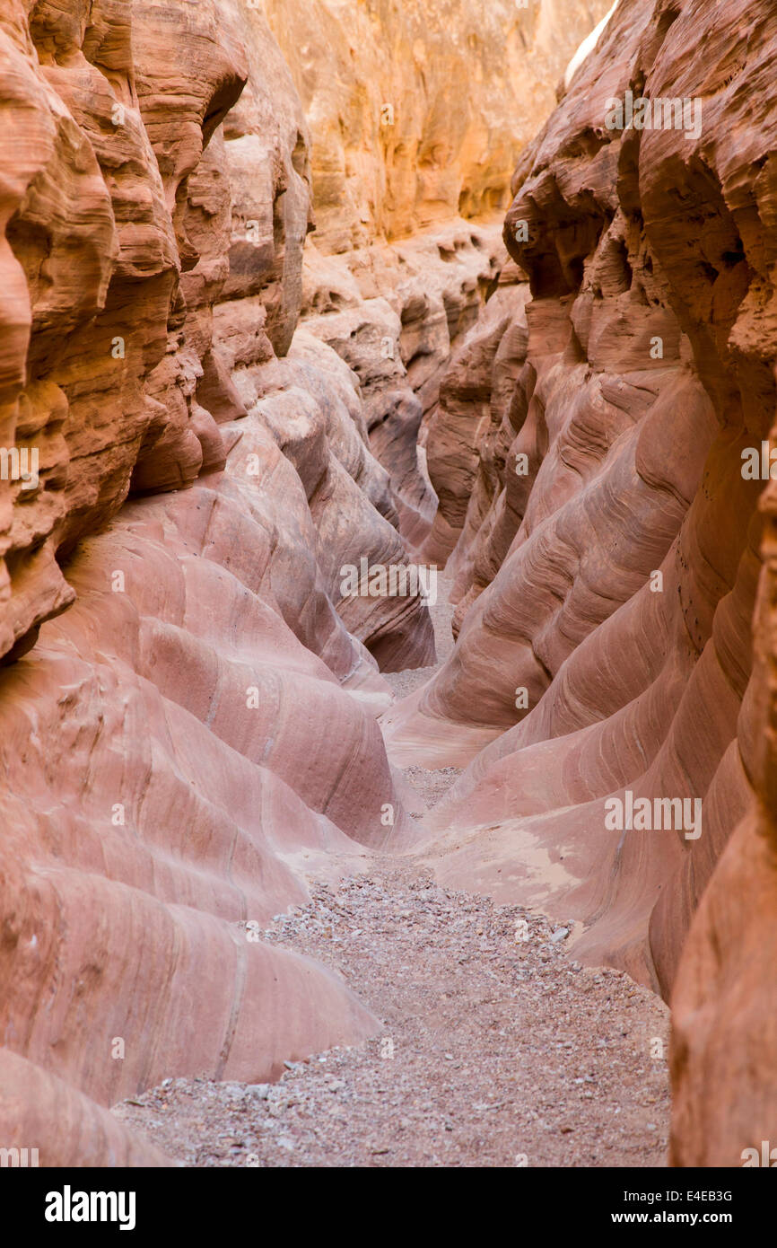 Hanksville, Utah - Piccolo cavallo selvaggio canyon. Foto Stock