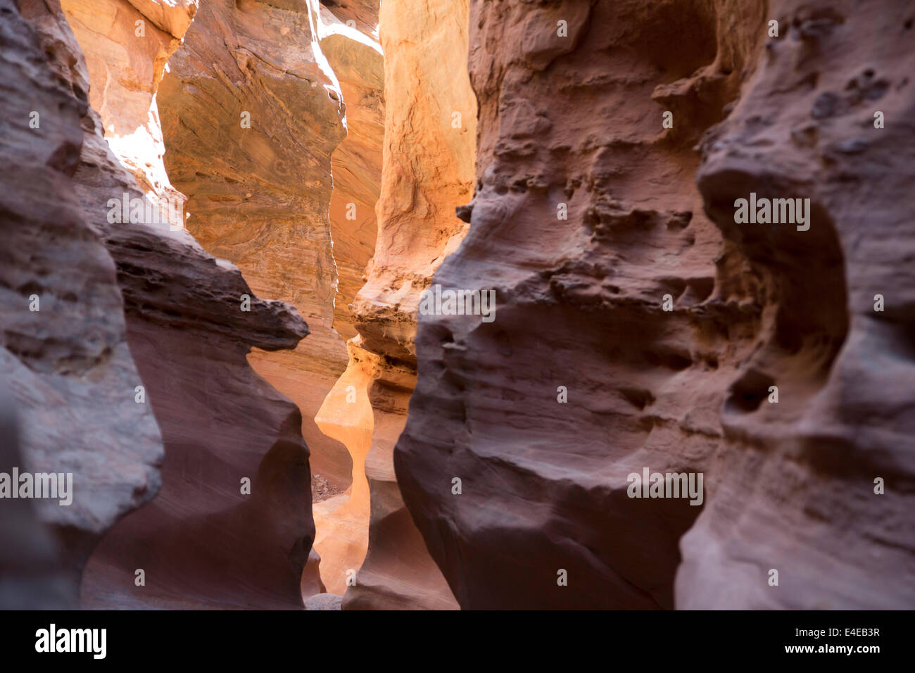 Hanksville, Utah - Piccolo cavallo selvaggio canyon. Foto Stock