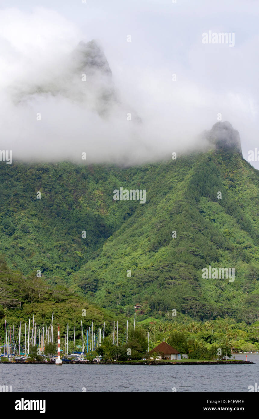 La lussureggiante vegetazione dell'Isola di Moorea, Polinesia francese. Foto Stock