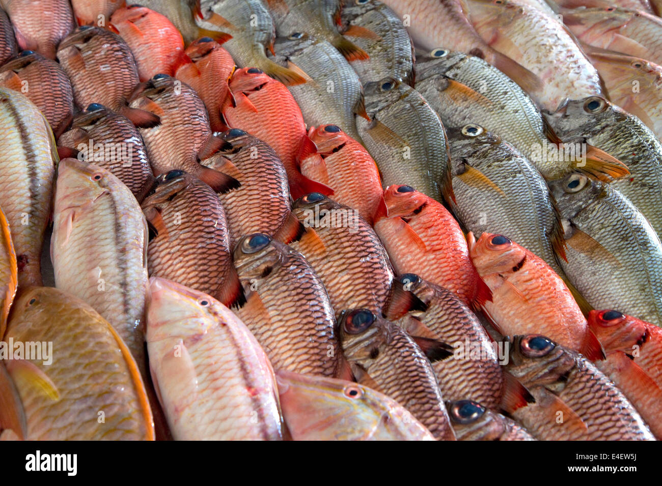 Pesci colorati display a Papeete mercato sull'isola di Tahiti, Polinesia francese. Foto Stock