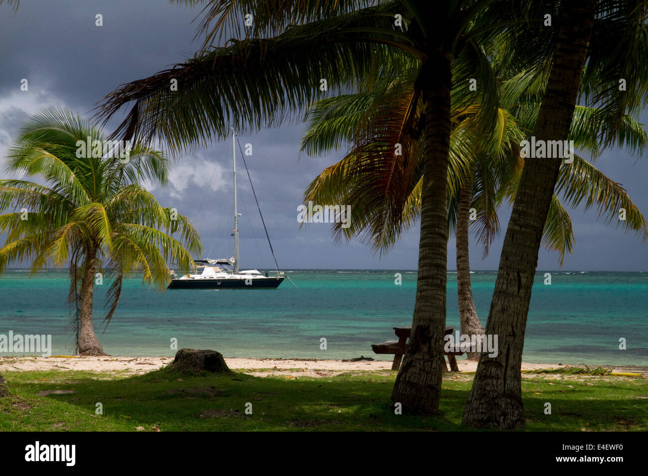 Palme e barche a vela a Moorea, Polinesia francese. Foto Stock