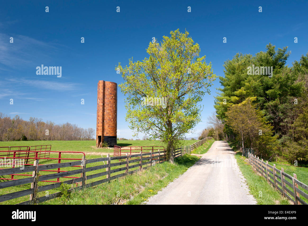 Strada sterrata e piastrella silo in Shenandoah Valley, Virginia. Piastrella sili sono stati costruiti per la maggior parte durante il 1920s in tutta America rurale. Foto Stock