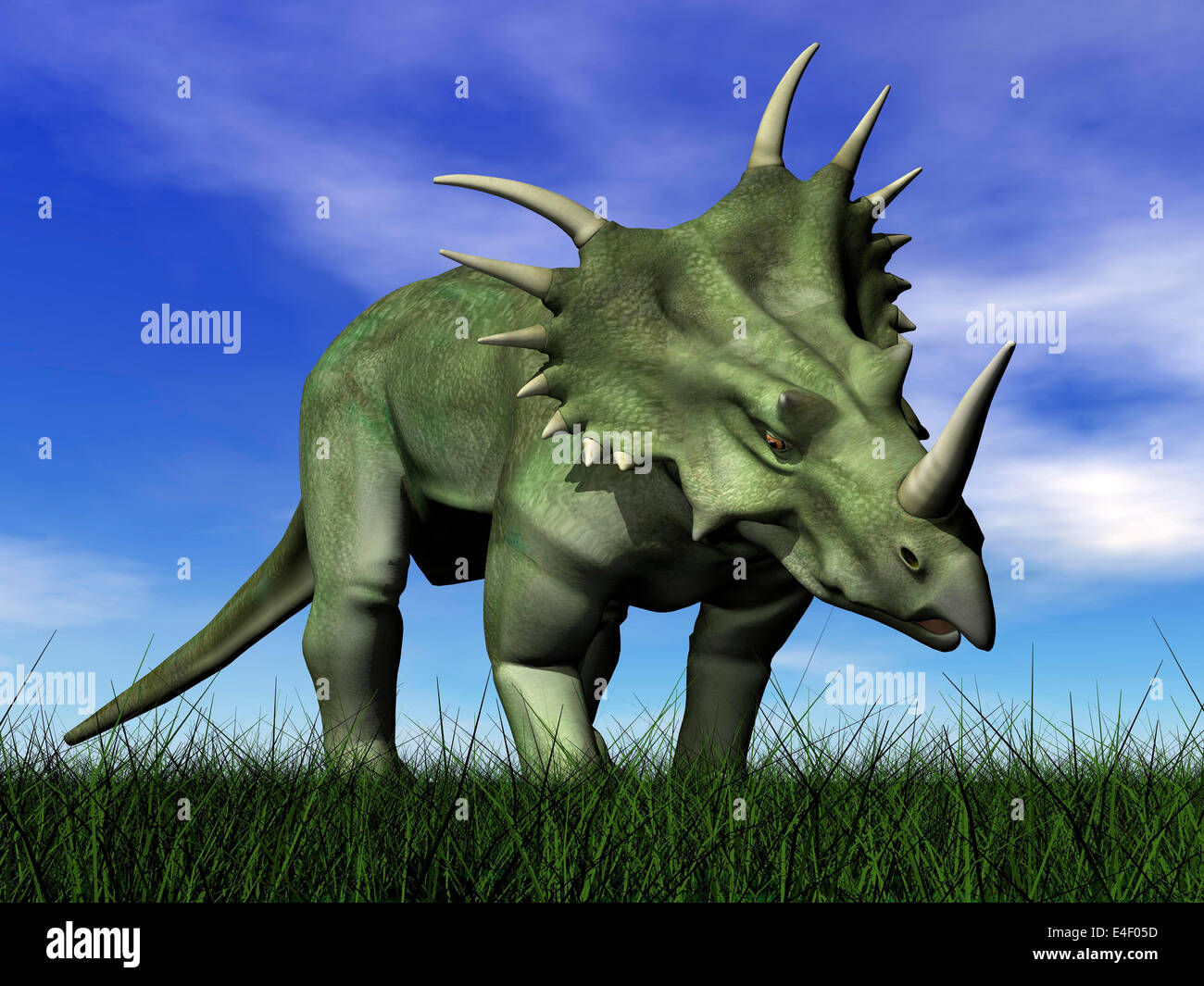 Styracosaurus dinosauro a piedi nell'erba. Foto Stock