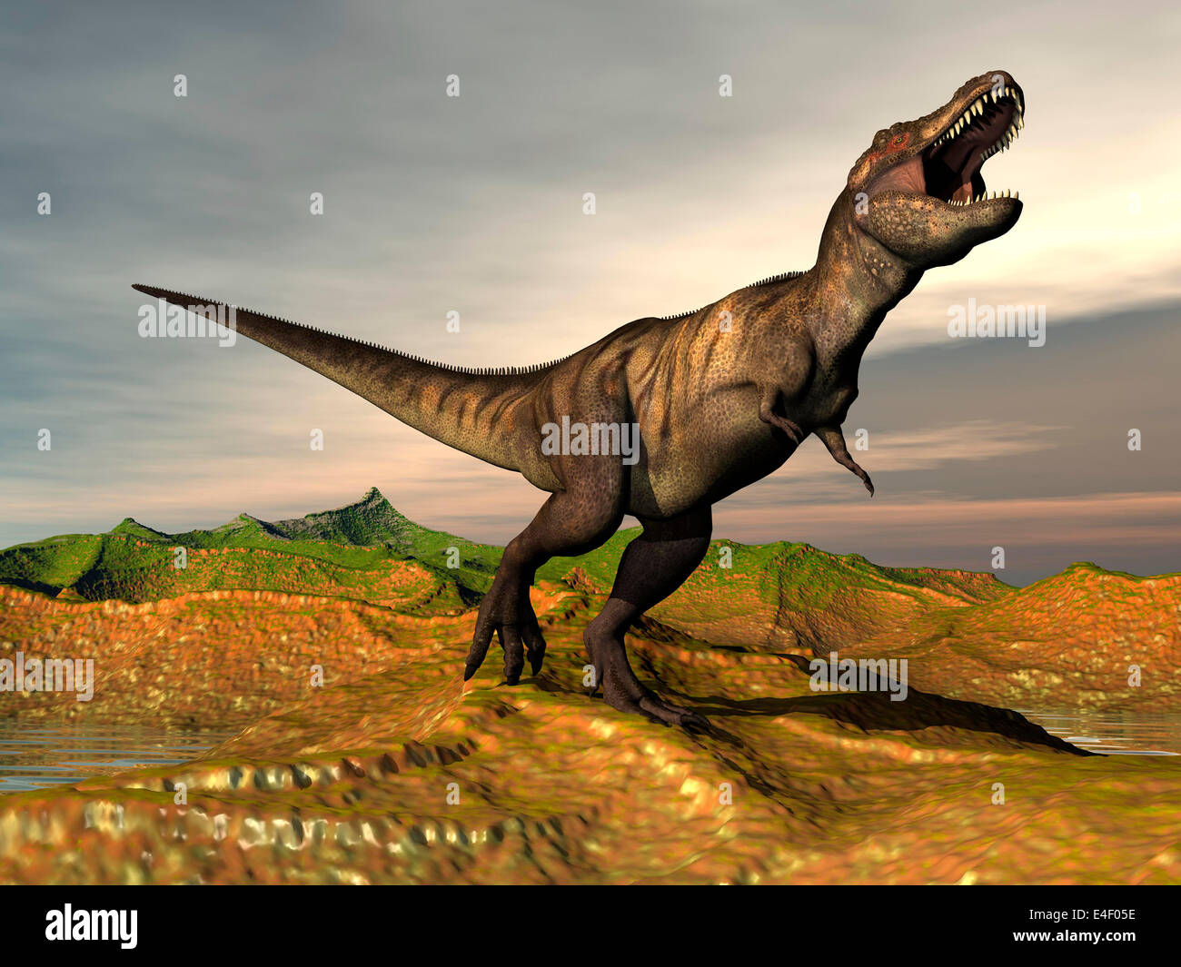 Tyrannosaurus Rex dinosauro a piedi nel paesaggio del deserto Foto stock -  Alamy