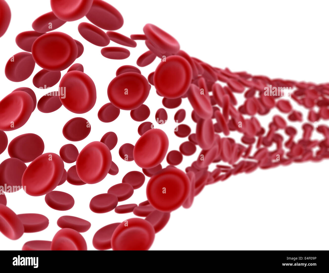 Le cellule del sangue flusso isolato su sfondo bianco Foto Stock