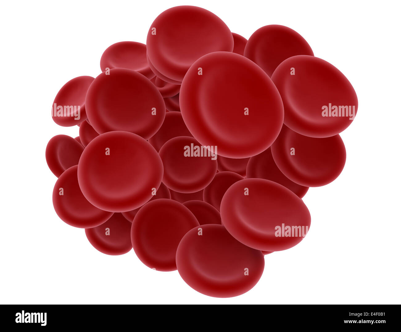 Cellule di sangue rosso isolato su bianco Foto Stock