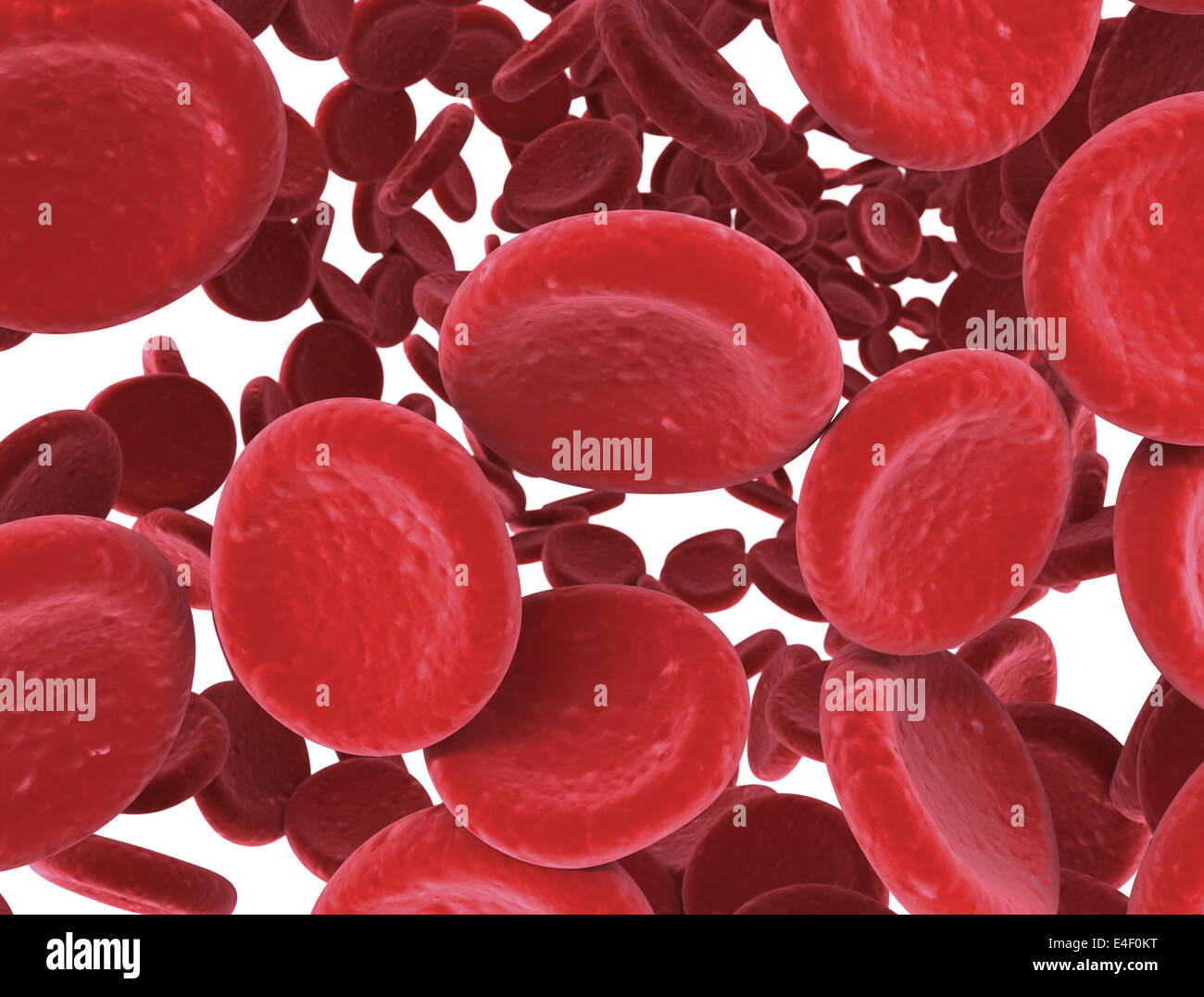 Le cellule rosse del sangue vicino la leggera profondità di campo Foto Stock