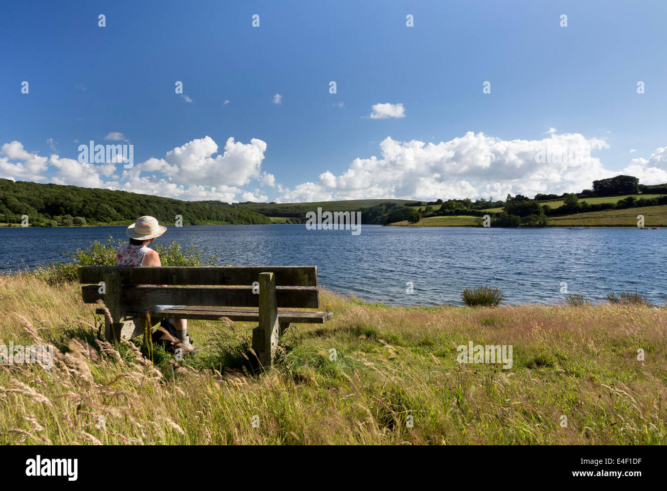 Vista posteriore della donna seduta sul banco, ammirando vista puffy white cumulus nuvole sopra il lago su una perfetta giornata estiva. Foto Stock