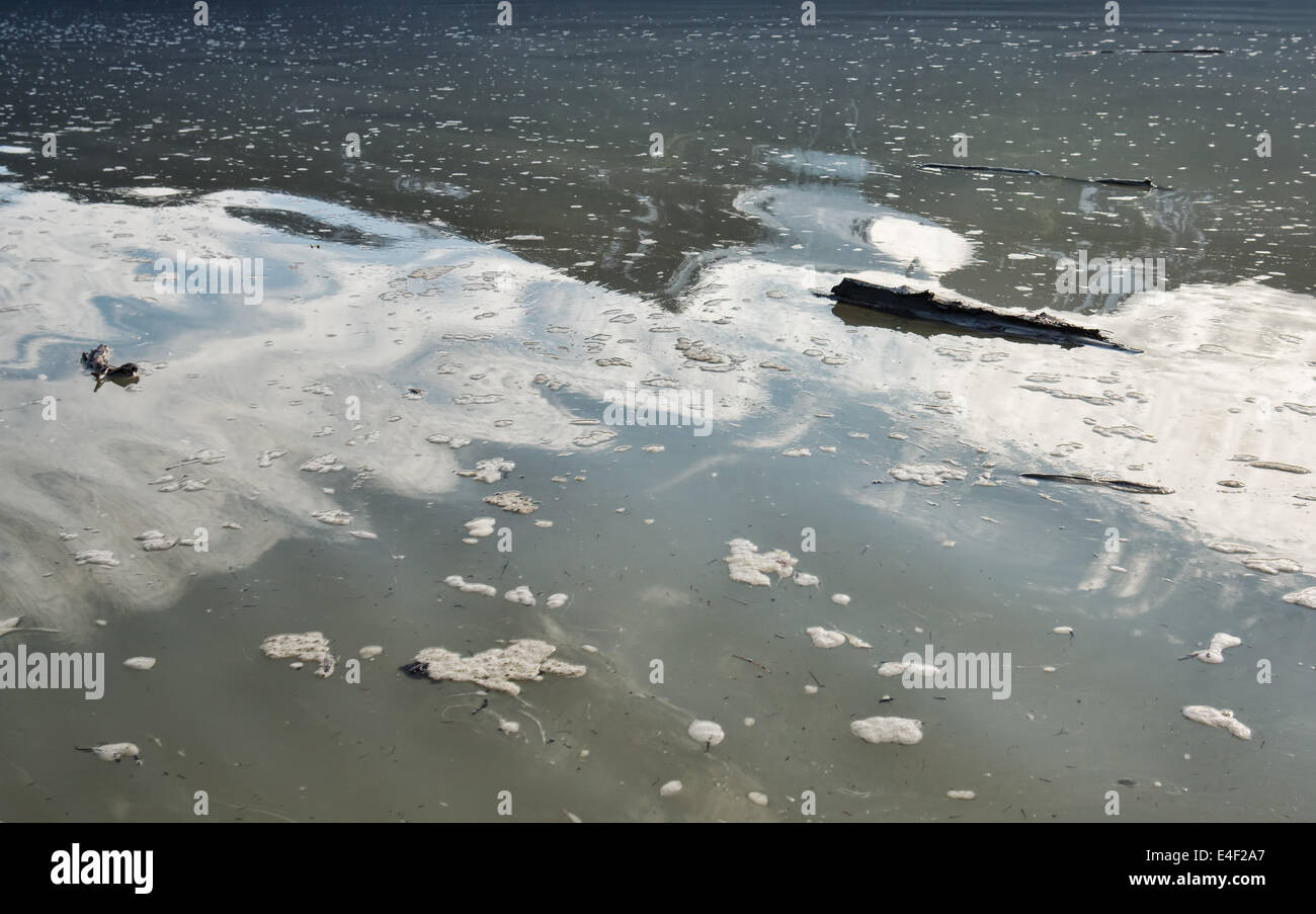 Floating pezzi di legno su terreni fangosi acqua di inondazione con cloud riflessioni. Foto Stock