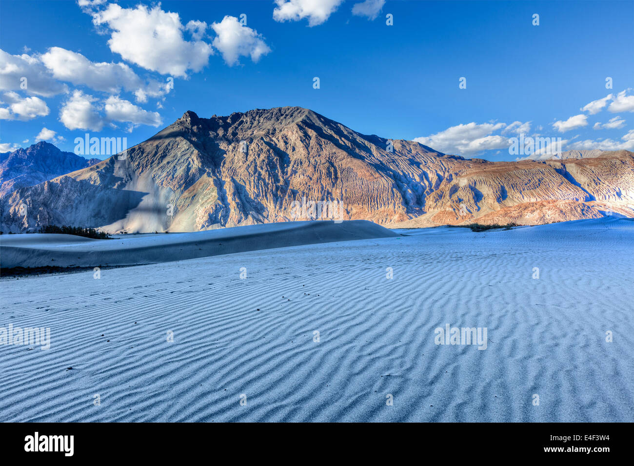 HDR (high dynamic range) immagine di dune di sabbia in Himalaya sul tramonto. Hunder, Valle di Nubra, Ladakh, India Foto Stock