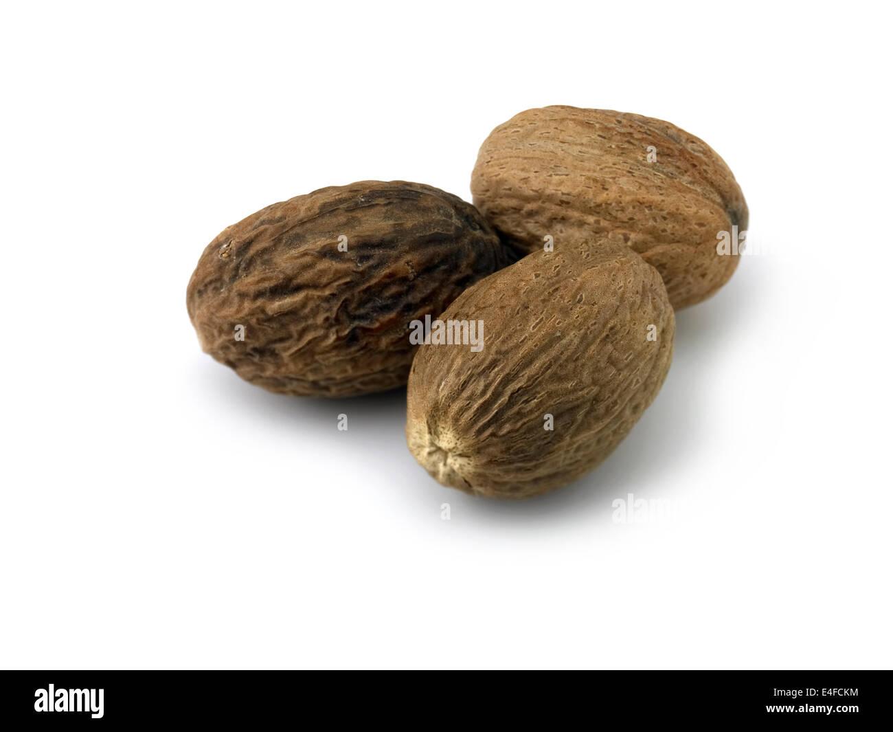 noce moscata Foto Stock