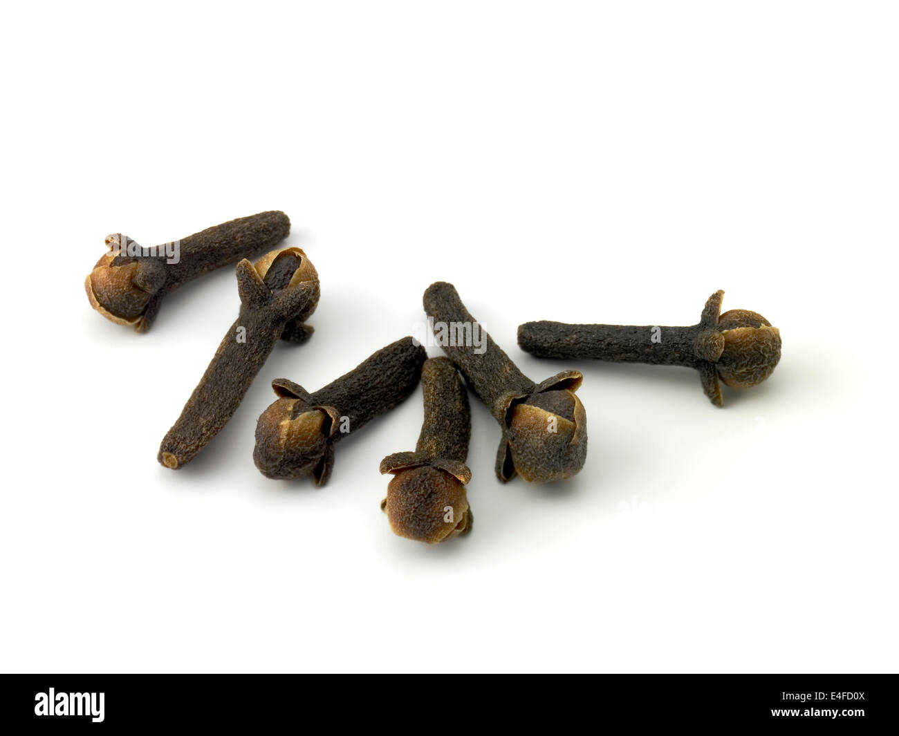 chiodi di garofano Foto Stock
