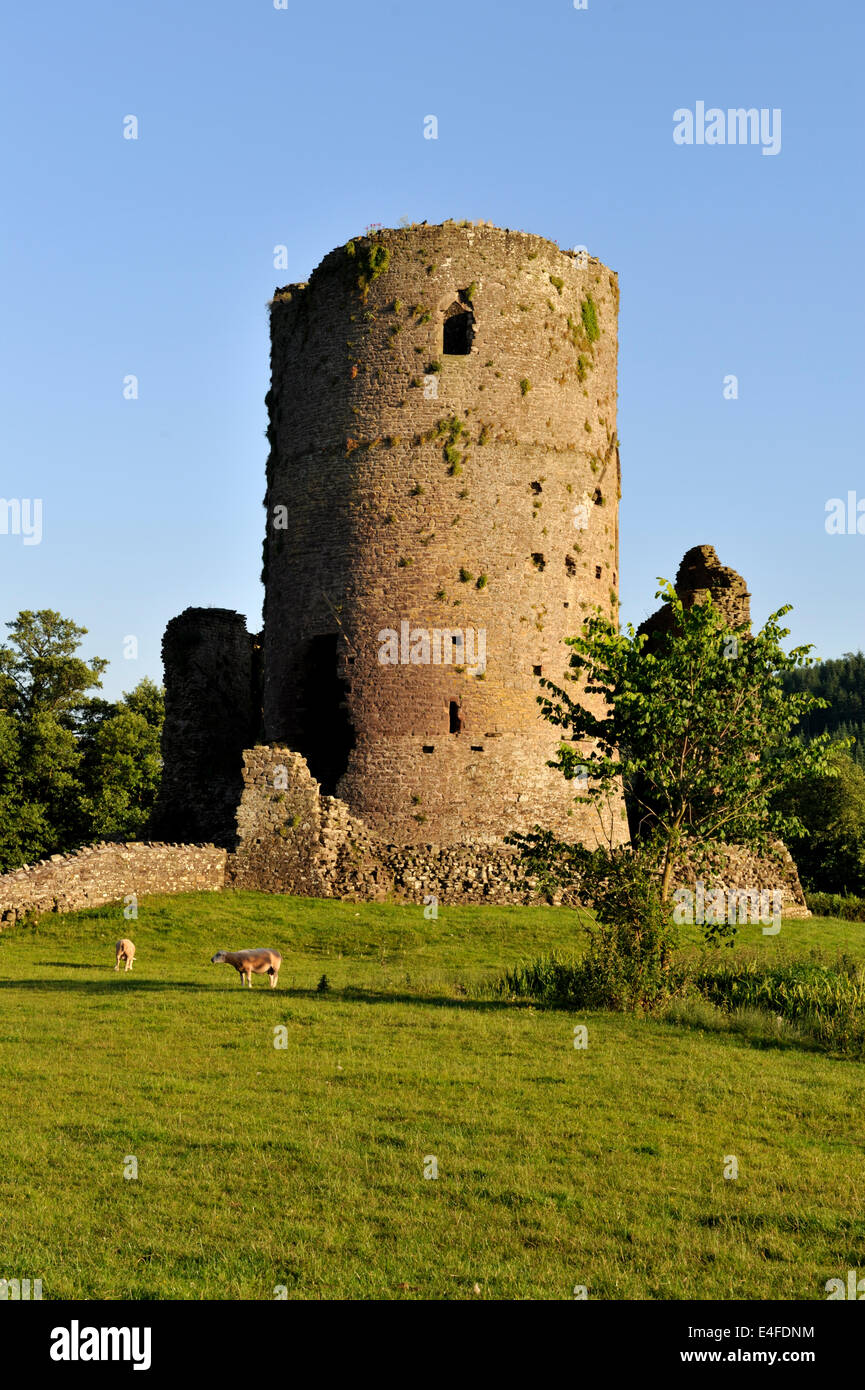 Tretower rovine del castello situato nel cortile di una fattoria, Powys, mid-Wales, Regno Unito Foto Stock