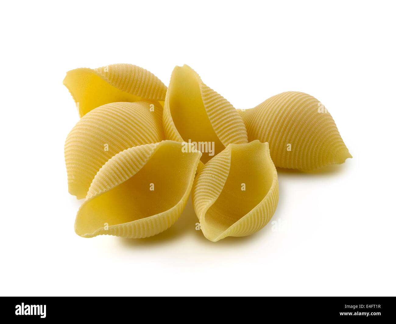 Pasta, conchiglie rigate Foto Stock