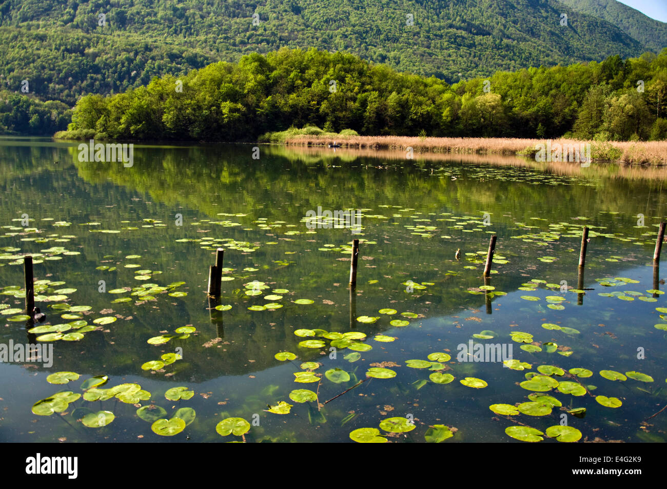 Lago di Piano Italia Foto Stock