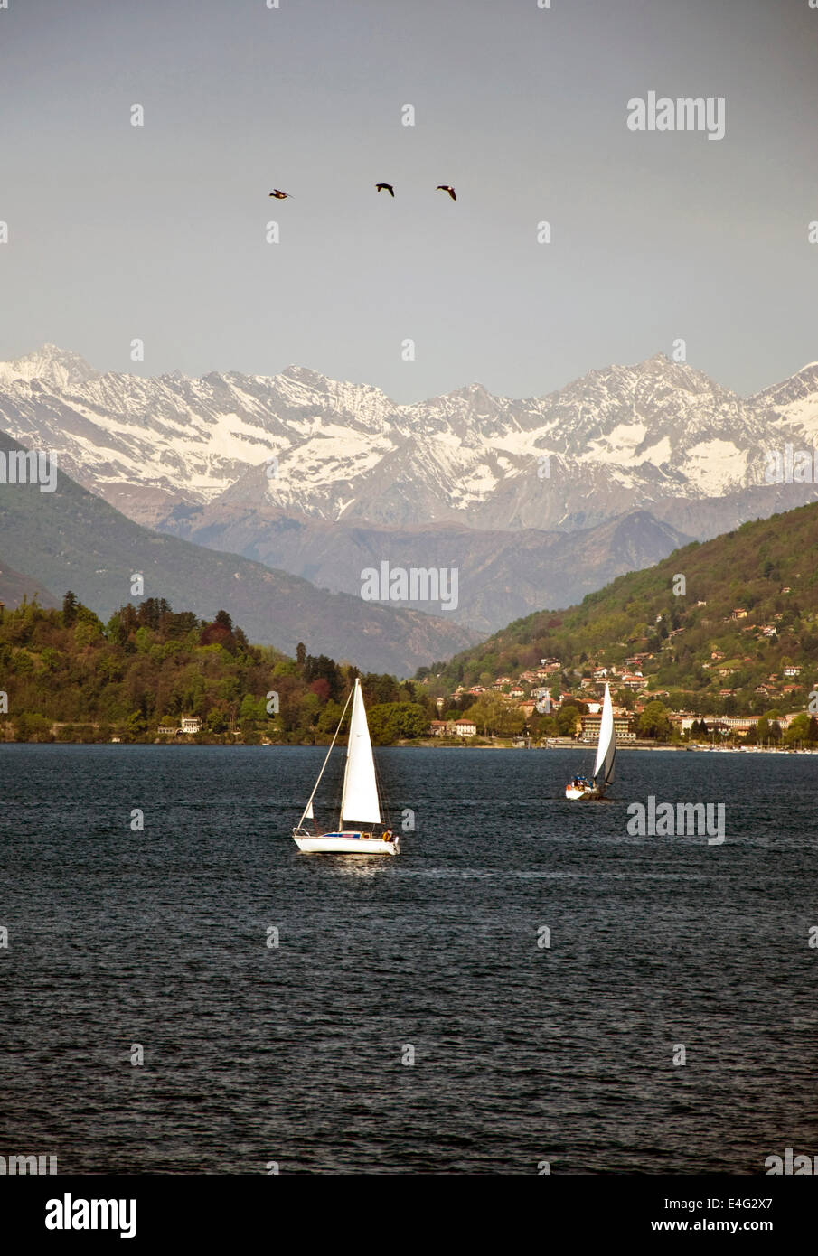 Barca a vela sul Lago Maggiore Italia Foto Stock