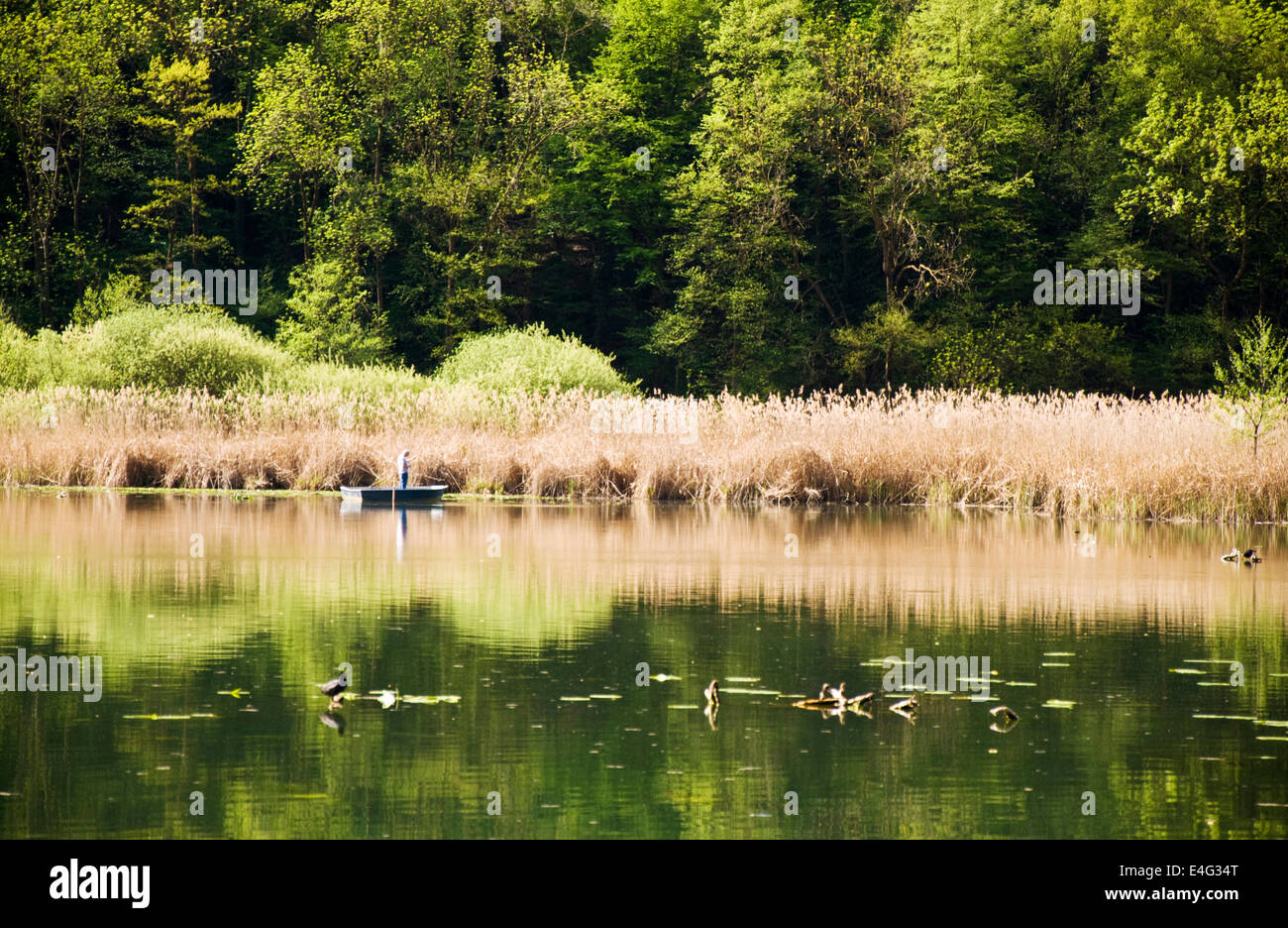 Pesca sul Lago di Piano Italia Foto Stock