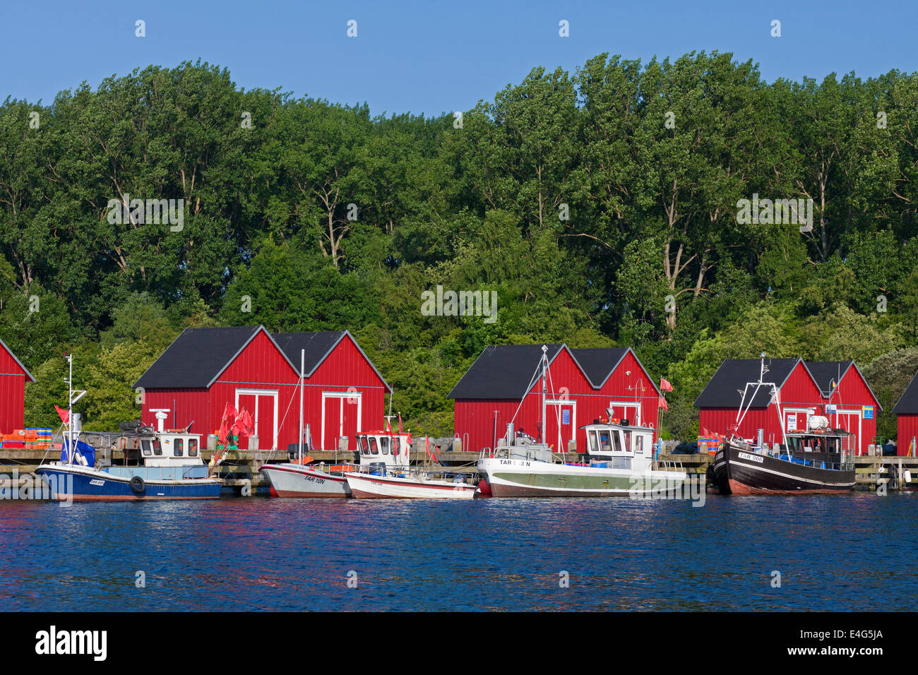 Barche da pesca nella parte anteriore del rosso capanne in legno nel porto di Boltenhagen lungo il Mar Baltico, Meclenburgo-Pomerania Occidentale, Germania Foto Stock