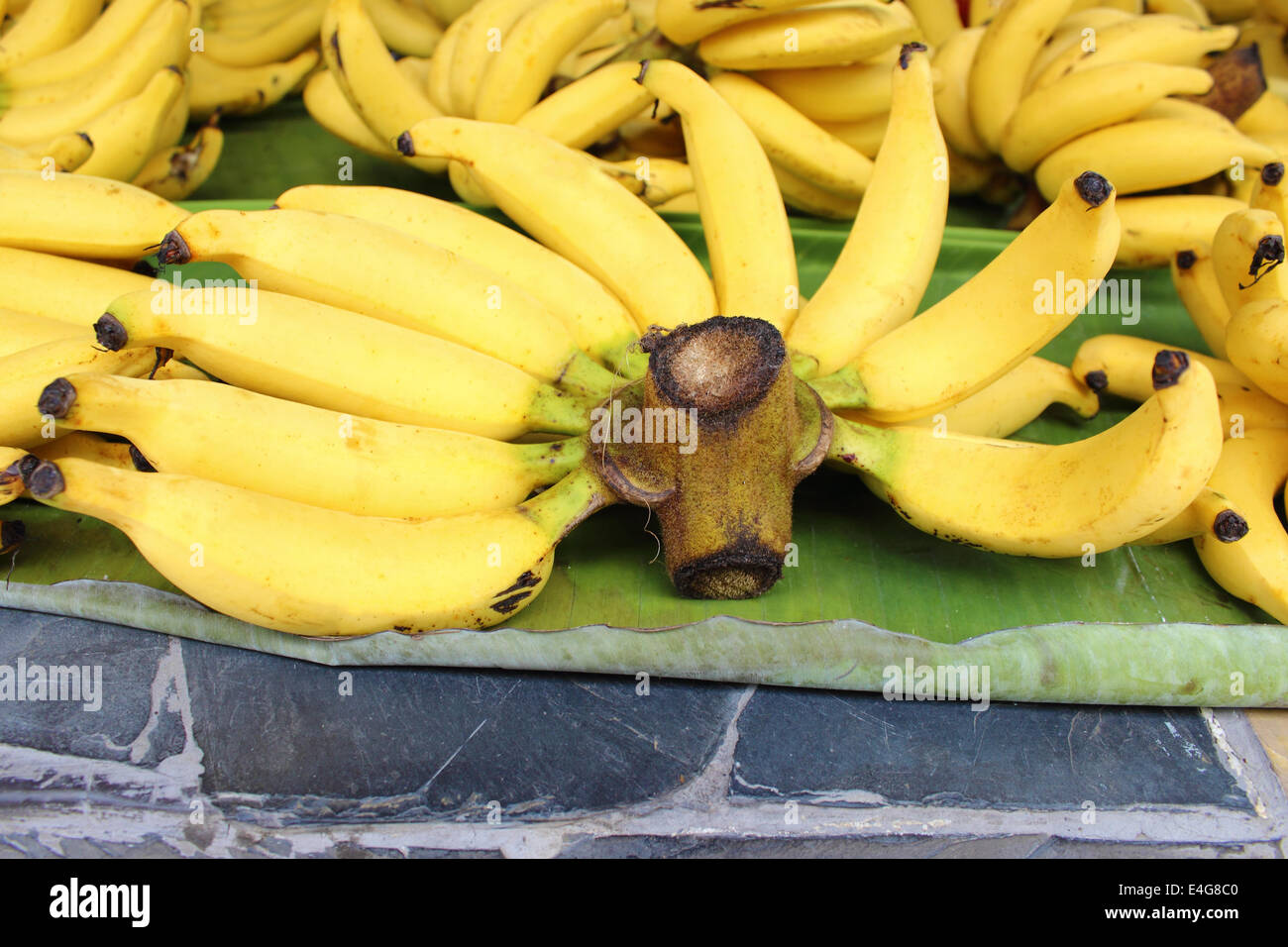 Banane su una foglia di banano Foto Stock