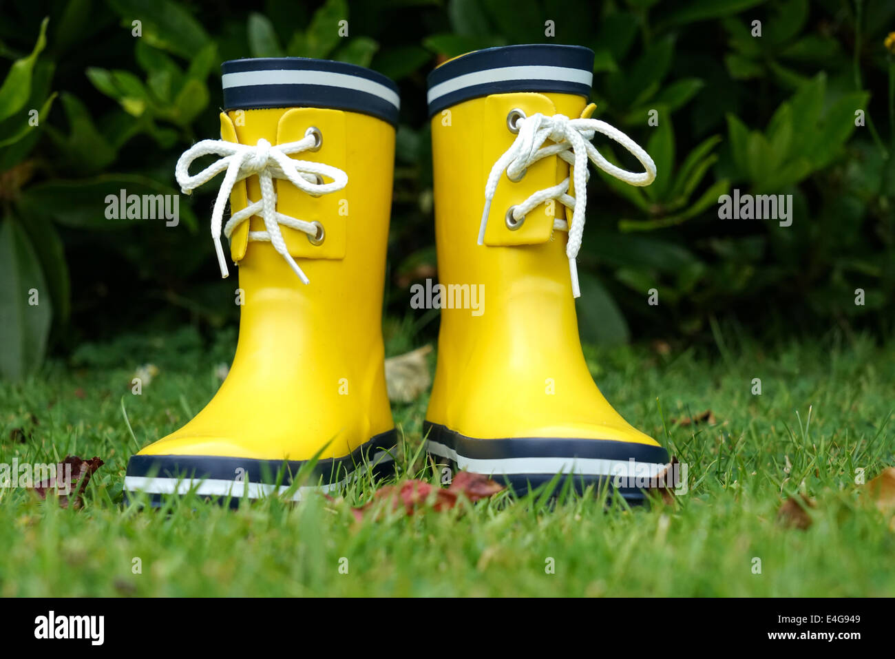 Una coppia di giallo stivali di gomma in giardino Foto Stock