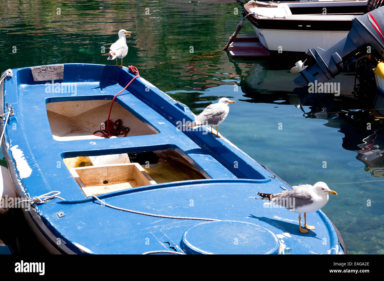 Tre seagull in piedi su una barca in porto Foto Stock