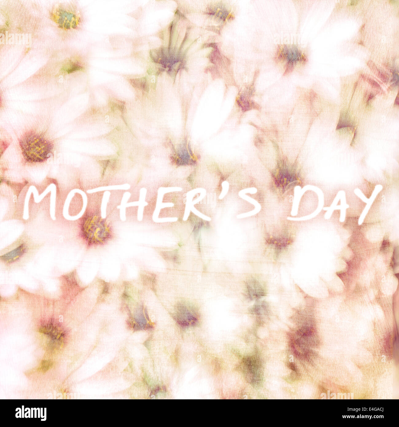 Biglietto di auguri per la festa della mamma, bello sfondo floreale, delicati fiori a margherita, arte, natura fresca Foto Stock