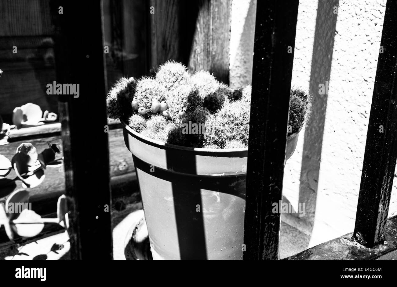 Con questa immagine quello che mi piace sono le ombre e le barre della finestra come se si trattasse di una prigione. Foto Stock