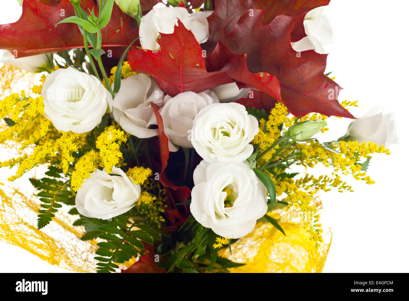 Lisianthus e foglie di autunno su sfondo bianco. Foto Stock