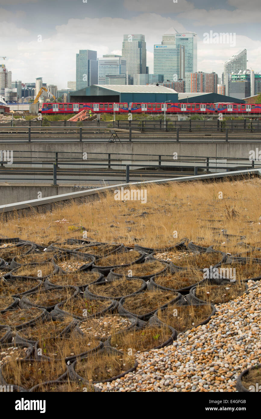 Un tetto verde presso il palazzo di cristallo che è il primo edificio nel mondo che ha ottenuto un eccezionale BREEAM (BRE Valutazione Ambientale) metodo di classificazione e un LEED (Leadership in Energy and Environmental Design) rating di platino. Londra, Regno Unito. Foto Stock