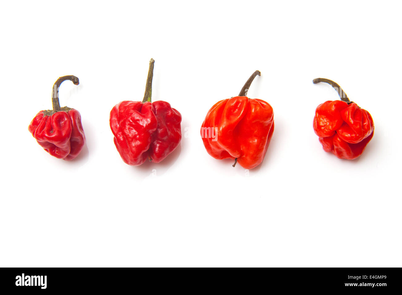 Scotch Bonnet il peperoncino o dei Caraibi peperoni isolato su un bianco di sfondo per studio. Foto Stock