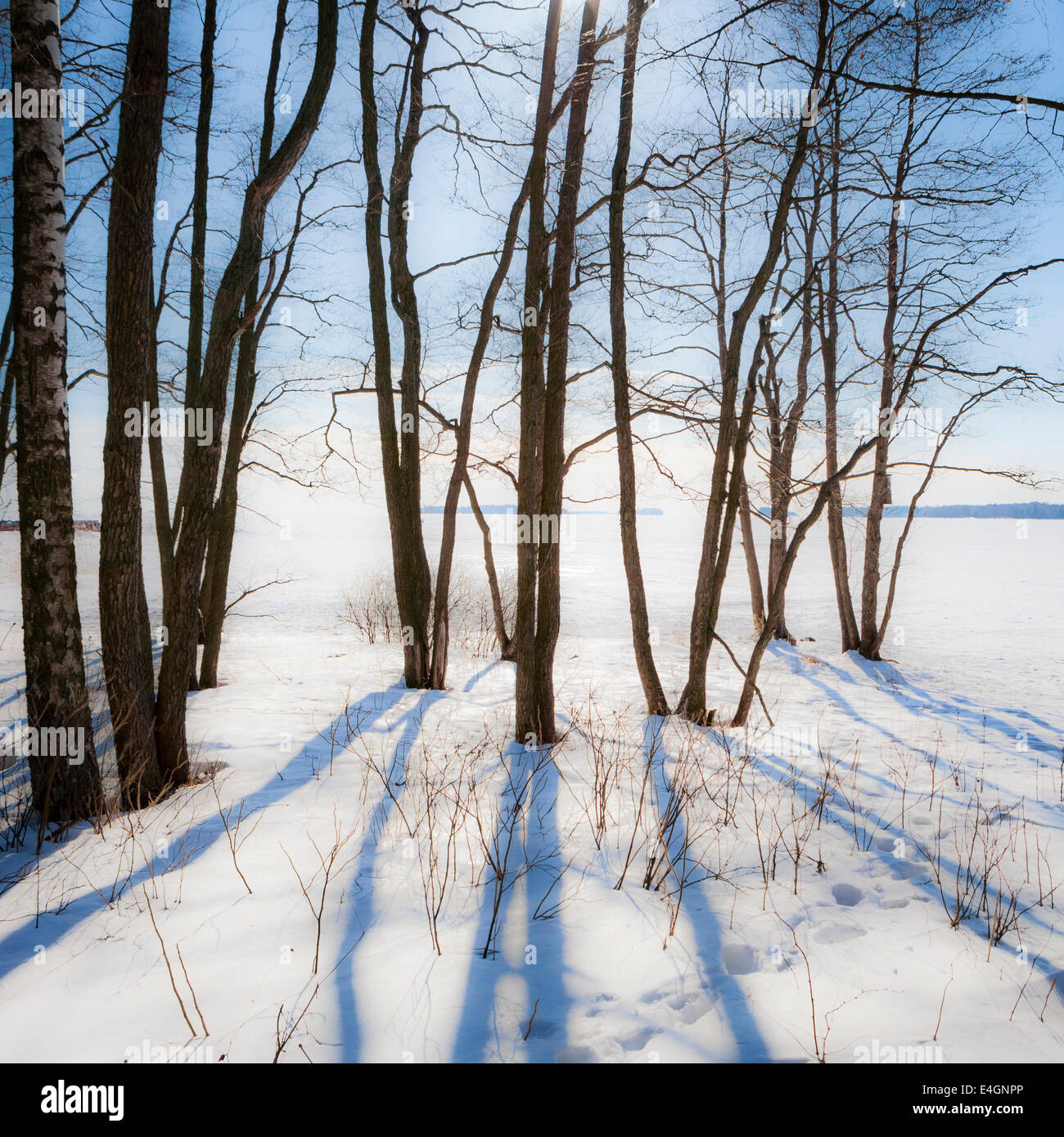 Inverno in Finlandia Foto Stock